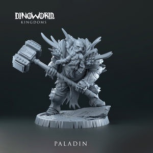 Dwarf Paladin