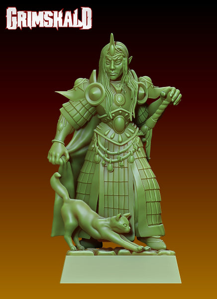 Elf Swordsman