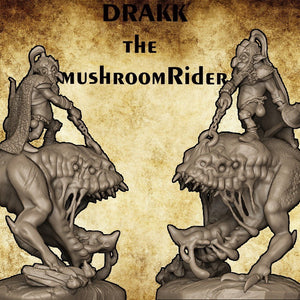 Drakk