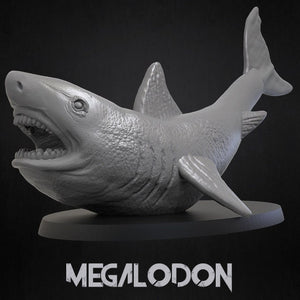 Megalodon